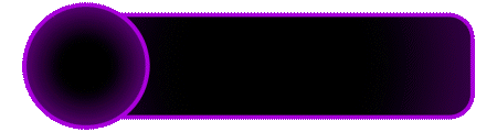 DELUNA4D logo